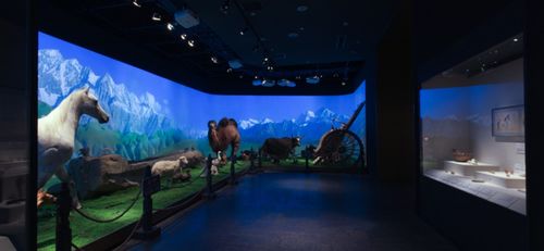 丝路遗珍的深情告白 和田博物馆与“和田历史文化陈列”策展评析